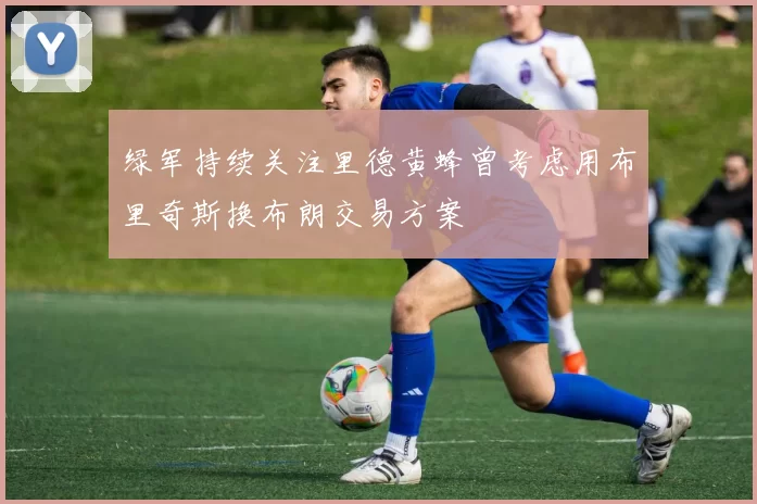 绿军持续关注里德黄蜂曾考虑用布里奇斯换布朗交易方案