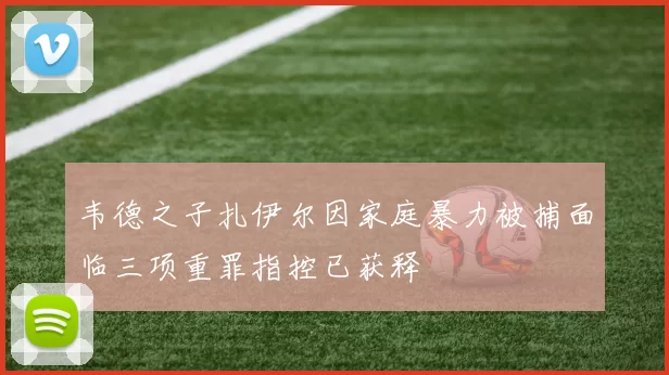 韦德之子扎伊尔因家庭暴力被捕面临三项重罪指控已获释