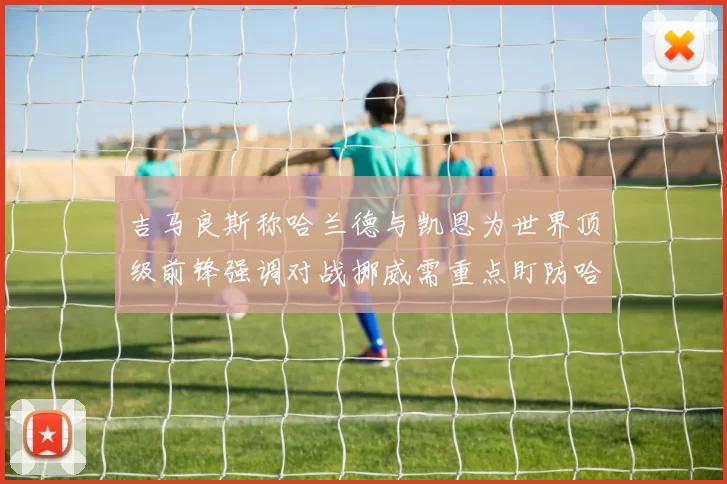 吉马良斯称哈兰德与凯恩为世界顶级前锋强调对战挪威需重点盯防哈兰德