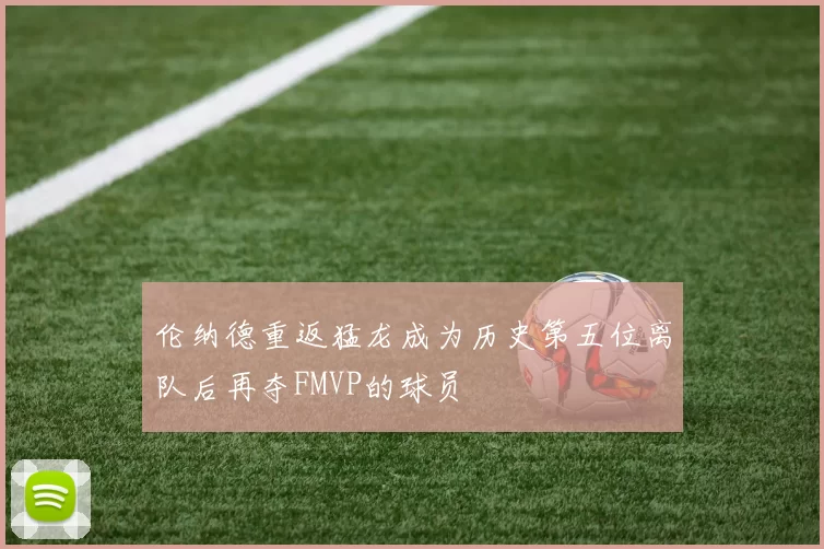 伦纳德重返猛龙成为历史第五位离队后再夺FMVP的球员